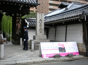 byki-blog0414e.jpg