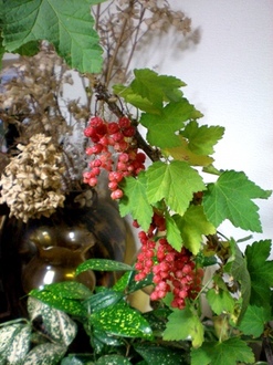 byki-blog0622c.jpg