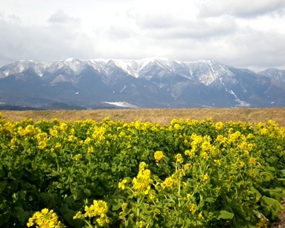 byki-blog0125a.jpg