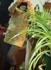 byki-blog0201B2.jpg