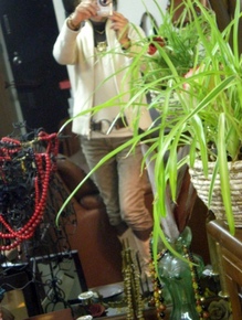 byki-blog0202A2.jpg