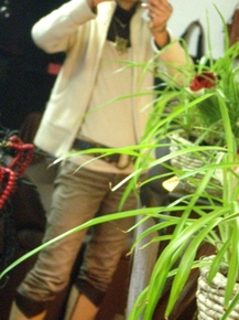 byki-blog0202B2.jpg