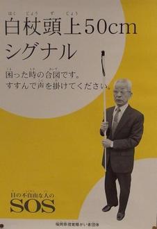 byki-blog0222A2.jpg