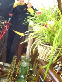 byki-blog0223A2.jpg
