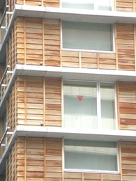 byki-blog0308B2.jpg