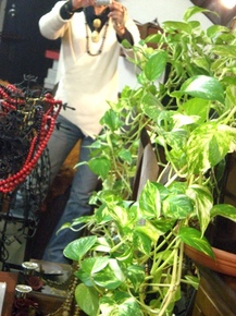 byki-blog0308C2.jpg