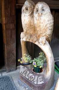 byki-blog0309D2.jpg