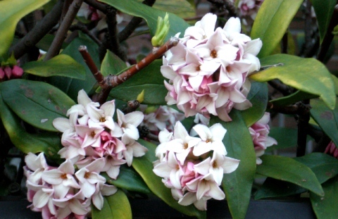 byki-blog0315.jpg