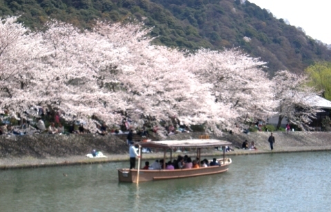 byki-blog0323C2.jpg