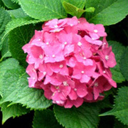 byki-blog0621A2.jpg